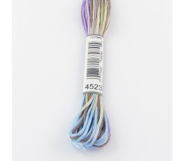 DMC Coloris 4523